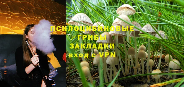 дурь Алексеевка