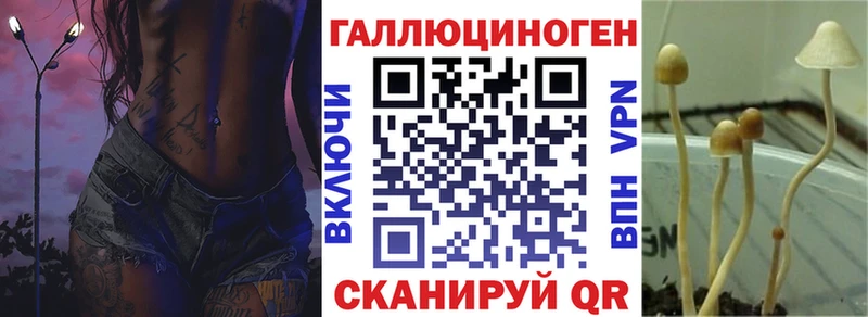 OMG tor  Усть-Джегута  Галлюциногенные грибы Magic Shrooms 